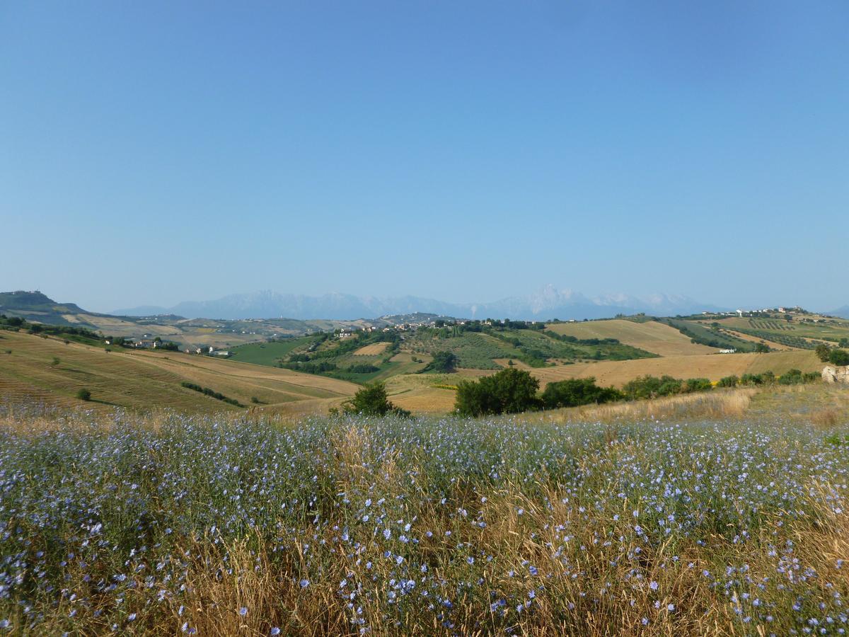 Il Frutteto Bed And Breakfast Ripattone Exterior photo