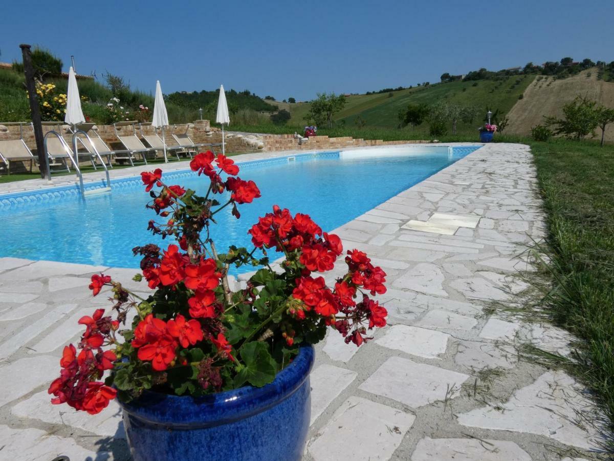 Il Frutteto Bed And Breakfast Ripattone Exterior photo